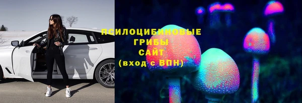 эйфоретик Липки