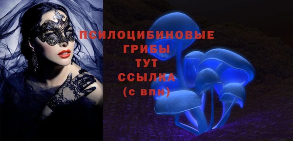 кокс Магас